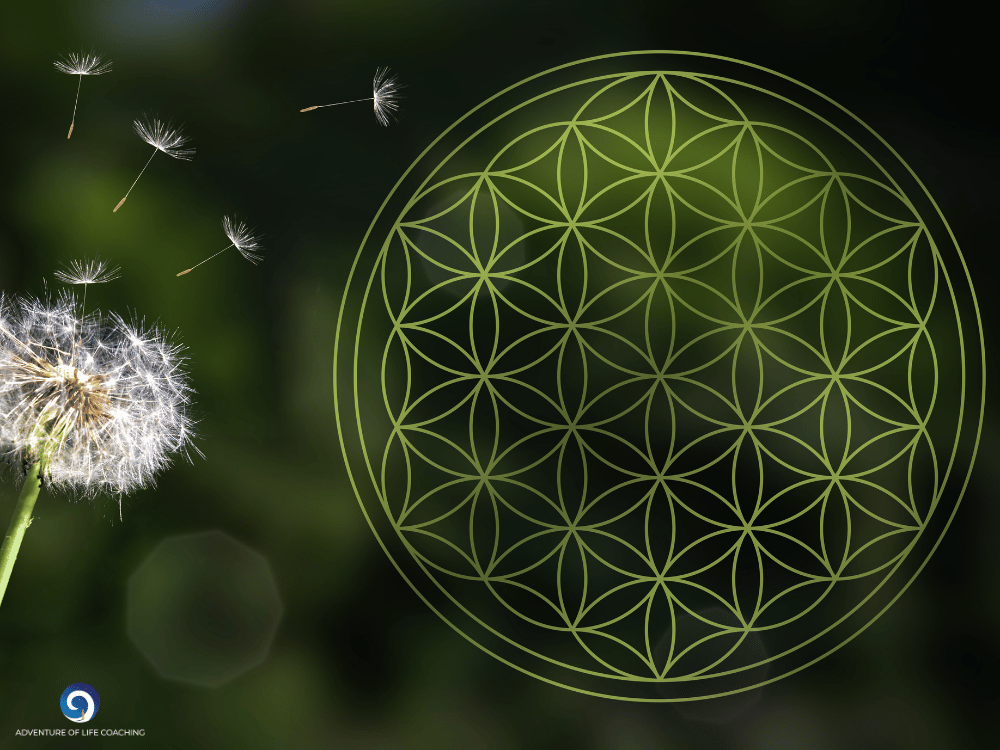 Blume des Lebens und eine Pusteblume, Blogbeitrag von Kerstin Schuster „Deine Seele bewertet nicht“, Adventure Of Life Coaching, Christin Bach
