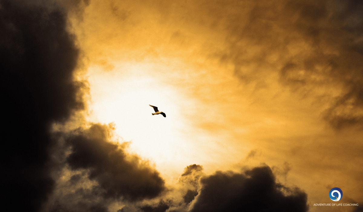 Eine Möwe fliegt am Himmel im Sonnenuntergang. Blog: Schlüssel zur Urwunde. Kerstin Schuster, Adventure Of Life Coaching